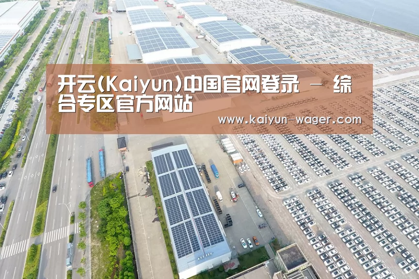 案例展示一