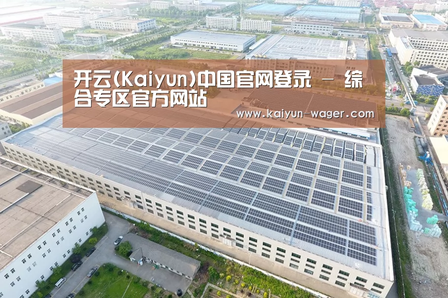 案例展示三
