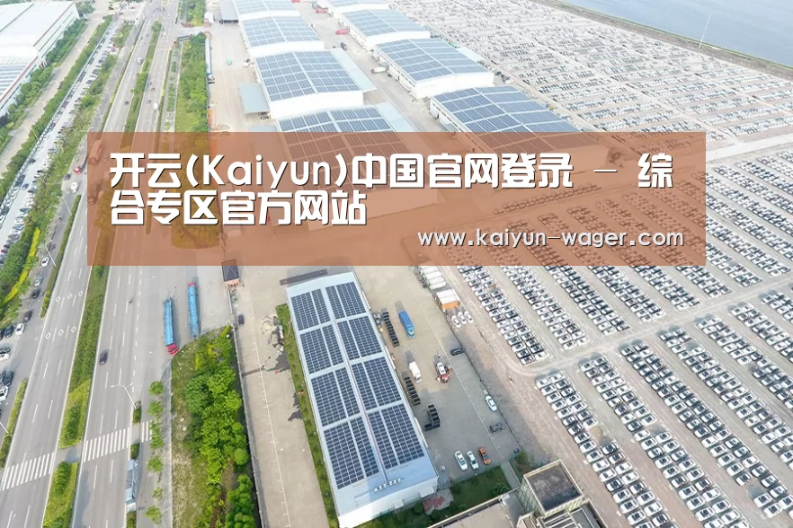 案例展示四