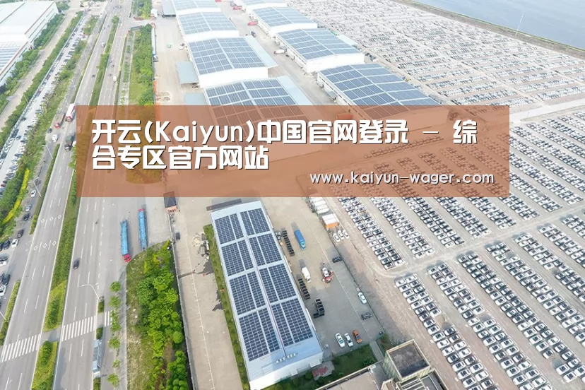 案例展示二